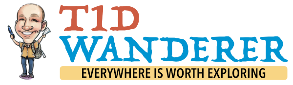 T1D Wanderer